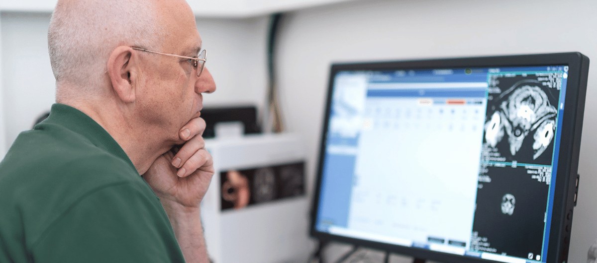 Tierarzt prüft Befunde am Monitor
