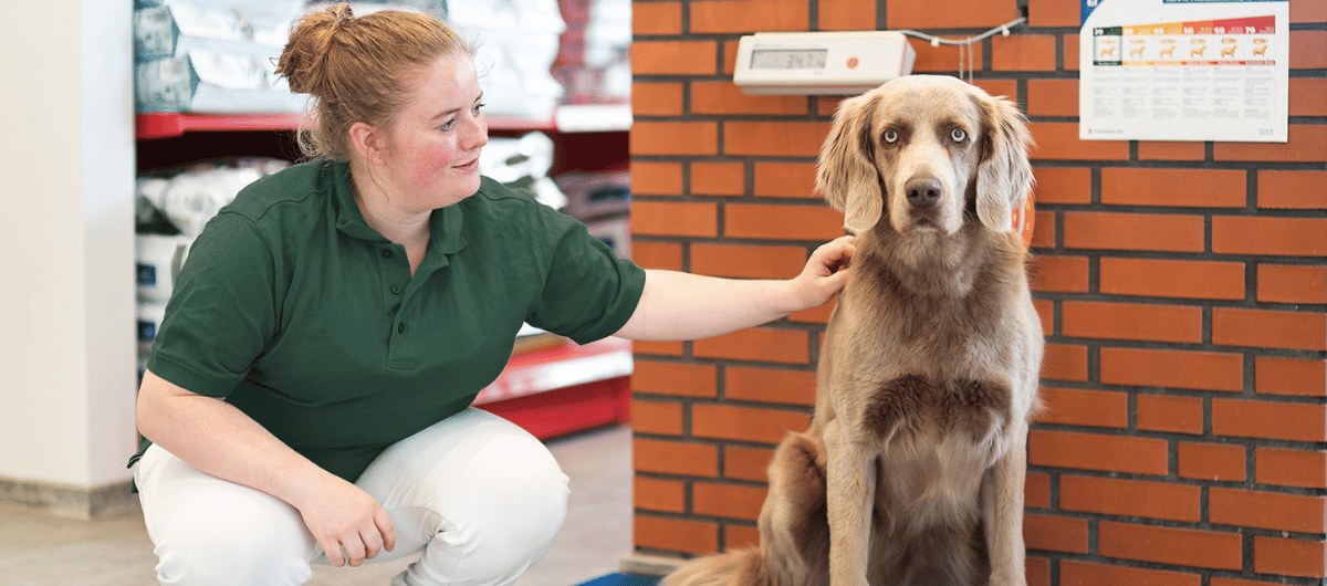 Tiermedizinische Fachangestellte mit Hund in der Praxis